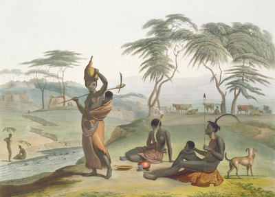 Boosh Wannahs, 8. tábla az „Afrikai tájak és állatok” című filmből, a művész által metszett, 1804 (akvatinta) alkotó: Samuel Daniell
